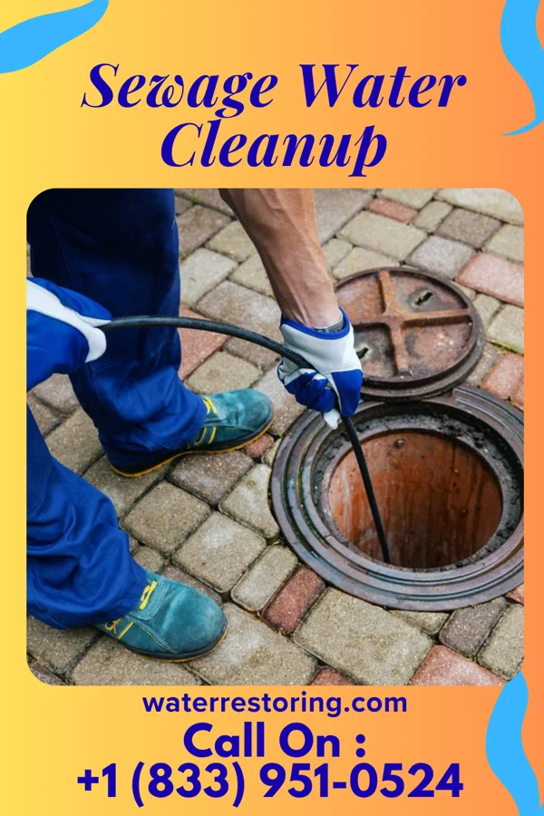 Sewage Water Cleanup in Turney, MO
